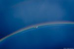 Photo 229/40