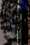 Photo 545/100