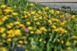 Photo 489/100