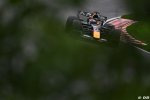 Photo 1245/100