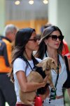 Photo 185/100