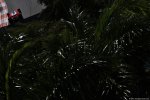 Photo 672/100