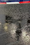 Photo 217/100