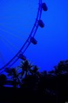 Photo 684/100
